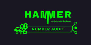 Logotype: Hammer Number Audit - phone number validation