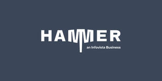Hammer logo displayed on Infovista blue background, showcasing updated brand identity.