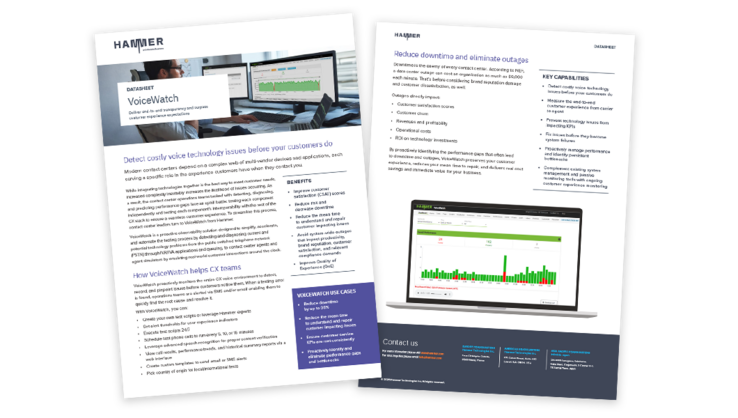 Preview of Hammer VoiceWatch datasheet