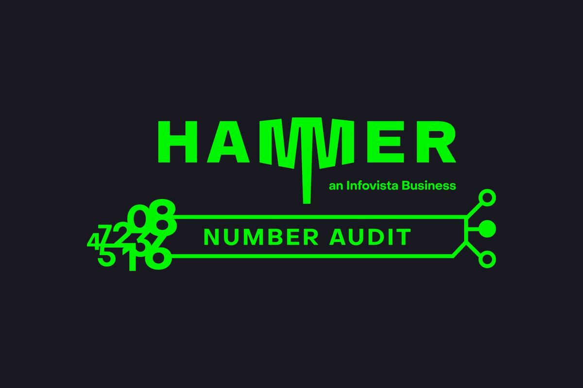 Logotype: Hammer Number Audit - phone number validation