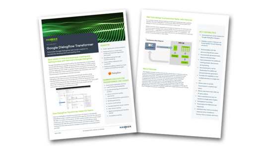 Preview of Hammer Google Dialogflow Transformer overview datasheet