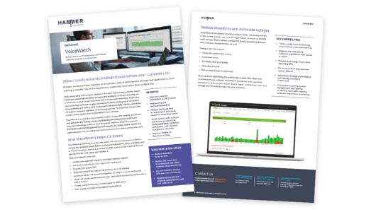 Preview of Hammer VoiceWatch datasheet
