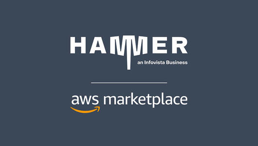 Hammer CX solutions now available on AWS Marketplace